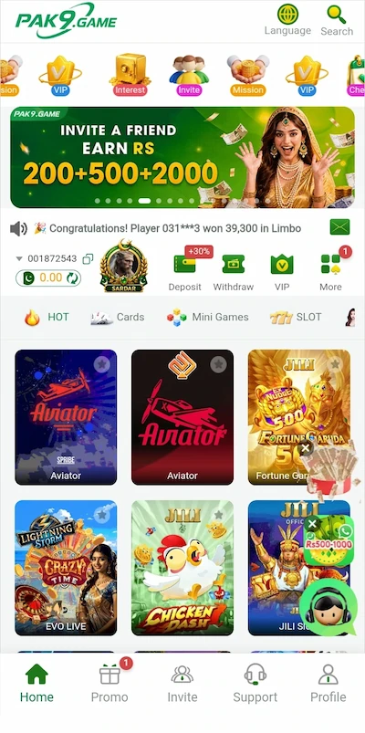 PAK9 Game